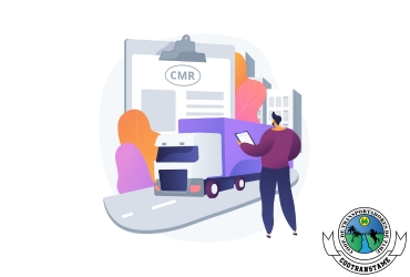 Infografía De Socialización