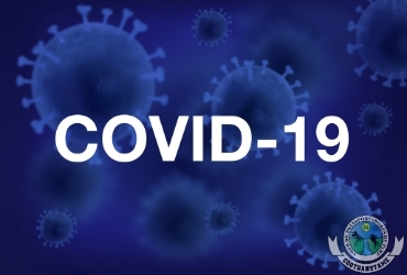 Autoreporte COVID-19 Parex